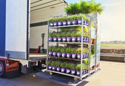 Приобретение и транспортировка растений из питомника